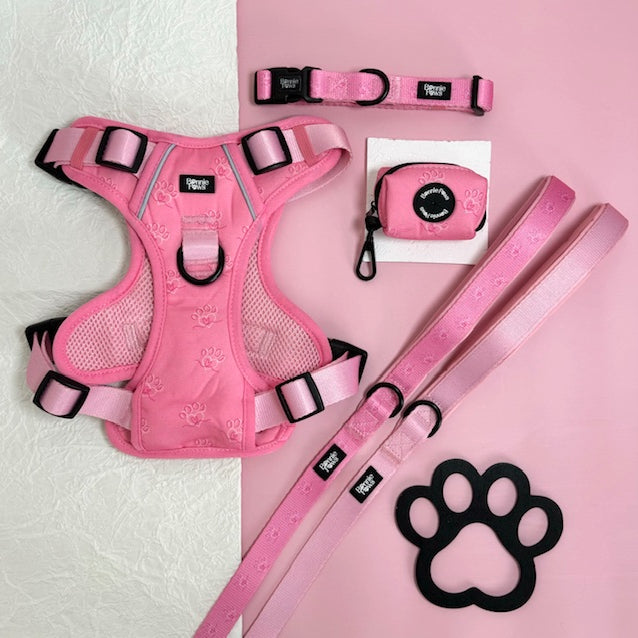 Pink Lead