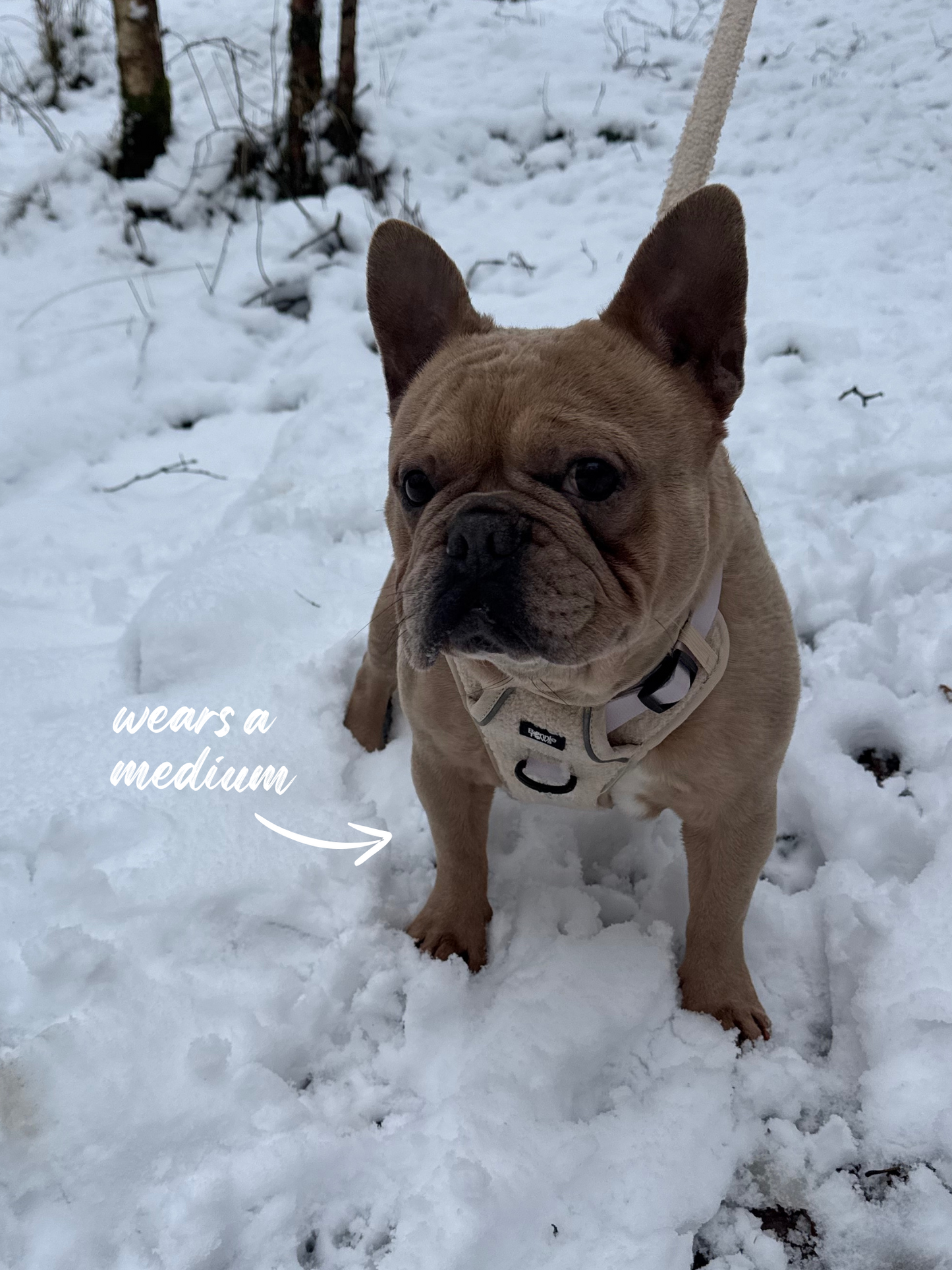 Beige Teddy Tough Harness