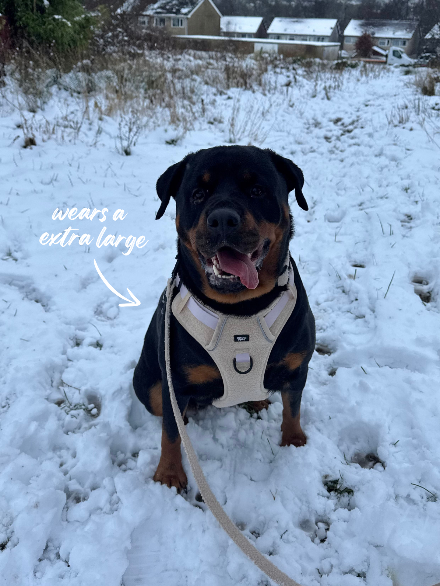 Beige Teddy Tough Harness
