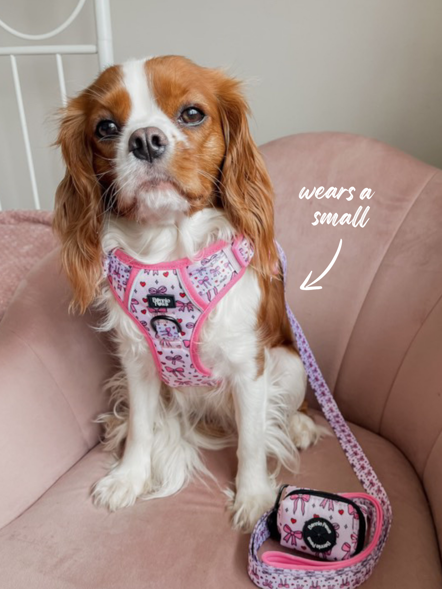Bow Heart Tough Harness
