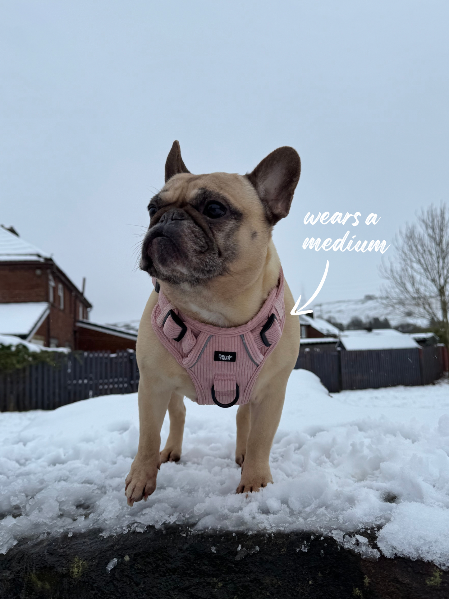 Pink Corduroy Tough Harness